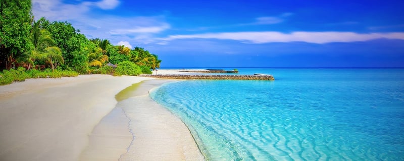 Island paradise